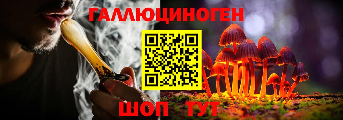 Галлюциногенные грибы мицелий  Вход с VPN  Галлюциногенные грибы Cubensis  Луховицы 
