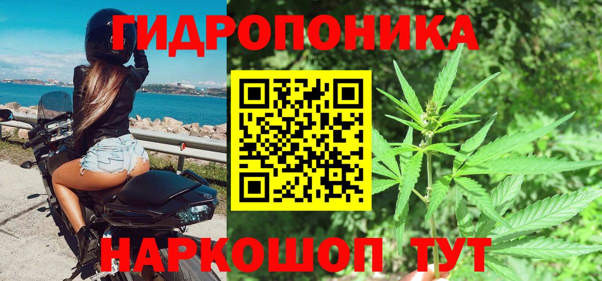 Бошки Шишки ГИДРОПОН  Бошки Шишки ГИДРОПОН  Бошки Шишки планчик  Вход с VPN  Луховицы  Шишки марихуана конопля 
